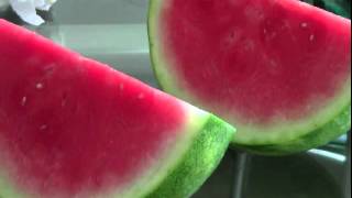 Viagra & Watermelon