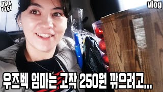 [우즈베키스탄 국제커플] 우즈벡 엄마는 고작 250원 깎으려고 흥정을... (우르그조르 o'rikzor도매시장까지 가서 크리스마스 트리를 사오다)