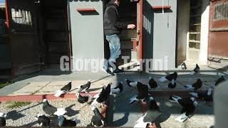 George doneks Τερπνή 8