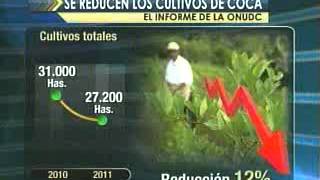 MENOS CULTIVOS DE COCA ESTE AÑO@REDPATLPZ