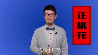 【新課程Ｘ心知識】桃花戀習曲－5個行動遇見美好的邂逅 預告片