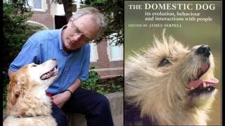 How to Find the Right Dog: Interview with Prof James Serpell