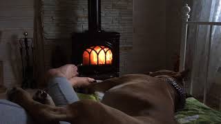 Jotul F3