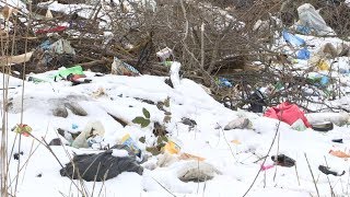 «Горячая линия» Свалка на кущевском кладбище