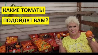 Как выбрать томаты на будущий сезон? Что нужно учесть?