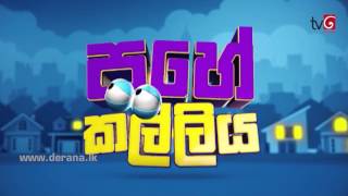 Pahe Kalliya - Episode 17 20th April 2016