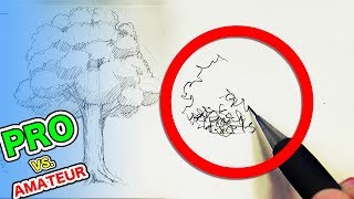 Japanese PRO vs Amateur｜A Simple Tree