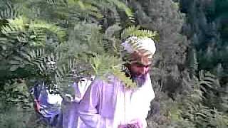 Asota Sharif UBAID JANI & WAQAS BACHA
