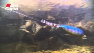 Abu Garcia Toby Salmo swimming action