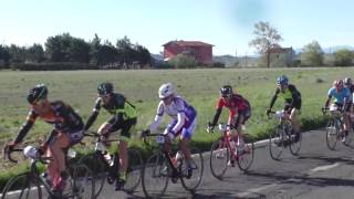 Mediofondo Primavera 2017