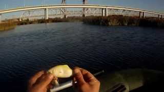 T.H.TACKLE Delta Eye 160.Первые впечатления.