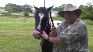 SHTF Vehicle Consideration Basics Part One