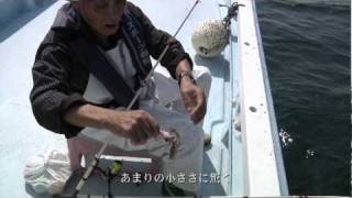 「日本列島 知恵プロジェクト」 千葉県 東京湾『イイダコ漁』