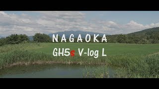 GH5s  M.ZUIKO DIGITAL ED 12-100mm F4.0 IS PRO  2018 07 01 NAGAOKA