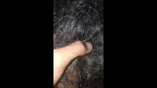 My Sleeping Rapunzel Hairjob hair pulling #Sleepingmom #Hairplay #silkyhair
