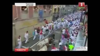 Быки едва не убили 4 человека!
