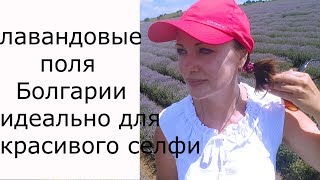 ЛАВАНДОВЫЕ ПОЛЯ БОЛГАРИИ-ИДЕАЛЬНОЕ МЕСТО ДЛЯ СЕЛФИ!
