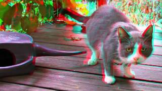 3D Red and Blue ( Cyan ) Pictures Anaglyph Part 2