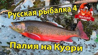 Русская рыбалка 4 Палия на Куори.  Где ловить?