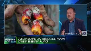Produksi Stagnan & Harga Melandai, Bisnis Sawit Butuh Solusi Apa?