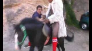 Ride my pony