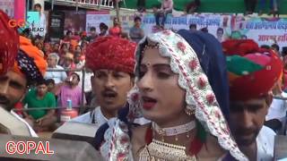 HOLI DHAMAAL### राजलदेसर गीदड़ प्रोग्राम 2015 लाइव Rajaldasar Vector Program 2015 Live 8955226229