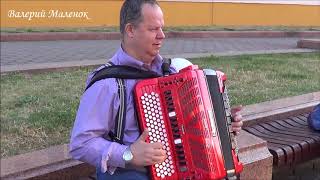 Музыкант-виртуоз играет на электробаяне!