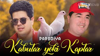 Muxtor Rais - Kabutar yoki Kaptar (parodiya)