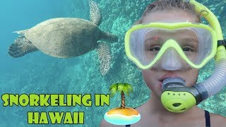 Snorkeling in Hawaii ? (WK 343.5) | Bratayley