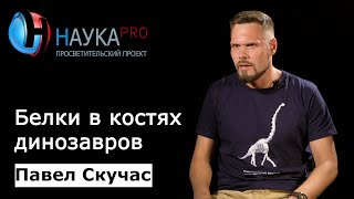Павел Скучас - Белки в костях динозавров: миф или реальность?