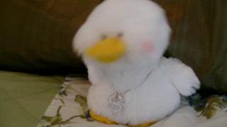 The Duck Rap