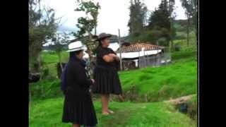 Al no poder llevarse dos reses, sacrificaron una y se llevaron en carne