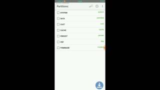 Backup persist