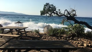 Пляж в Milli park Kuşadası! Горящая машина, дикие кабаны, необузданные волны и многое другое!