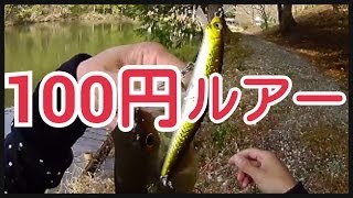 バス釣り おかっぱり 春の野池でダイソー100円ルアー釣り！