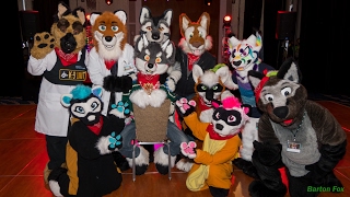 Anthro New England 2017 - Fursuit Games