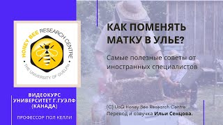 Как поменять матку в улье? (Канада)