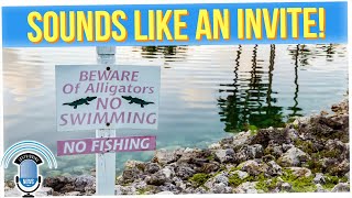 Florida Man Went into Alligator Lake to Search for Frisbees