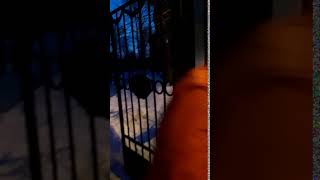 VID 22012019 1629