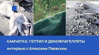 Камчатка - гептил и динофлагелляты