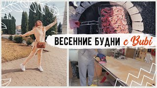 Выбираем НОВЫЙ ЦВЕТ для машины???? Собираем ПАРНИК ИЗ СТАРЫХ ОКОШЕК ???? Hello, it’s Bubi