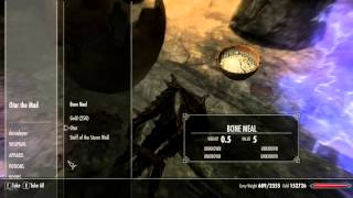 Skyrim - Otar the Mad Dragon priest - battle