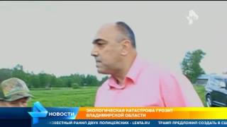 Экологическая катастрофа грозит Владимирской области из за слитых в водоемы свиных экскрементов