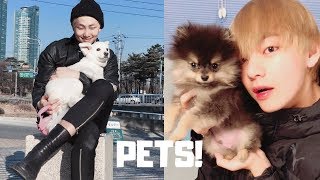 BTS' PETS!