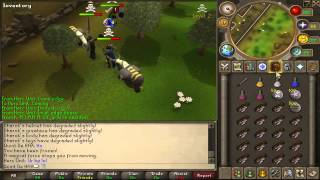 Boosted Dharok PKing - RuneScape Glitch