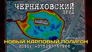 Водоем "Черняховский". Новый, очень перспективный карповый водоем