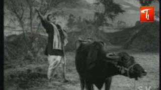 Muddabanthi Poolu Petti Song From Kalasi Unte Kaladu Sukham | NTR | Savitri