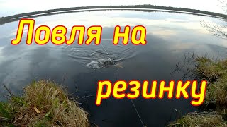 Ловля на резинку с берега