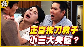 《黃金爆爆爆》黃金歲月 EP261 正宮挨刀救子 小三大失寵？