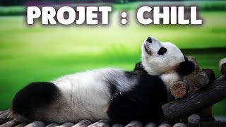 DU SON POUR CHILL CET ÉTÉ (chillhop - lo-fi)